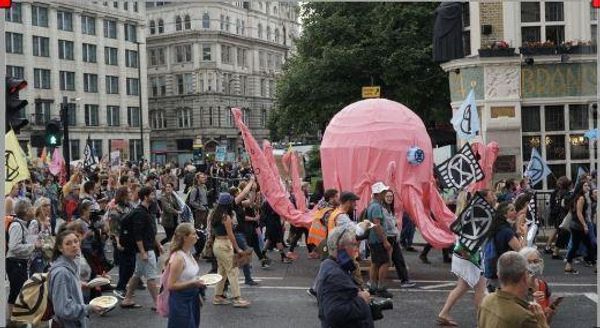 మాంసం కోసం లక్షలాదిగా ఆక్టోపస్‌‌ల సాగుకు ప్రణాళిక.. బీబీసీకి లభించిన రహస్య పత్రాలు ఏం చెప్తున్నాయి?