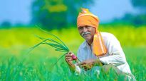 Teka Na bhave kharidi : ૧ નવેમ્બરથી બાજરી સહિતના ખરીફ પાકોની ખરીદી કરાશે, આવતીકાલથી રજિસ્ટ્રેશન