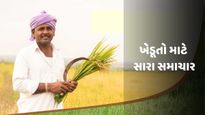 ખેડૂતો માટે સારા સમાચાર: ગુજરાતમાં રવિ પાકોનું વાવેતર શરુ થાય તે પહેલા જ ટેકાના ભાવ જાહેર
