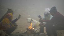 Gujarat Weather: રાજ્યનું સૌથી ઠંડુ શહેર બન્યું નલિયા, જાણો હવામાન વિભાગની આગાહી