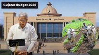 Gujarat Budget 2026: ખેડૂતો અને પશુપાલકો માટે સહાયનો ધોધ, કૃષિ પેકેજ માટે કરોડોની જોગવાઈ