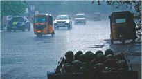 Gujarat Weather: વેસ્ટર્ન ડિસ્ટર્બન્સને કારણે આ જિલ્લાઓમાં કમોસમી વરસાદની આગાહી