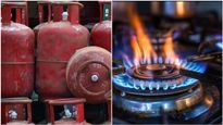 રાજ્યમાં LPG ગેસનો પુરતો જથ્થો, ગુજરાત સરકારનો દાવો