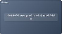 ભાજપ નેતા વિજય ગોયલે રખડતા કૂતરાઓના મુદ્દે દિલ્હી સરકાર પાસે તાત્કાલિક પગલાં લેવાની માંગ કરી