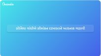 સોનિયા ગાંધીએ સરકારના સીમાંકન પ્રસ્તાવને બંધારણ પર ખતરનાક હુમલો ગણાવ્યો