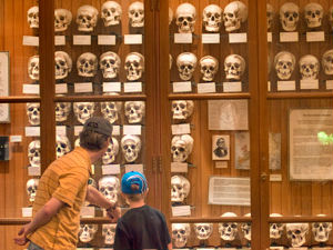 Seven Weird tourist places Seven Weird tourist places