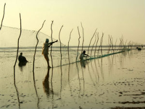 fishermen-of-kutch fishermen-of-kutch