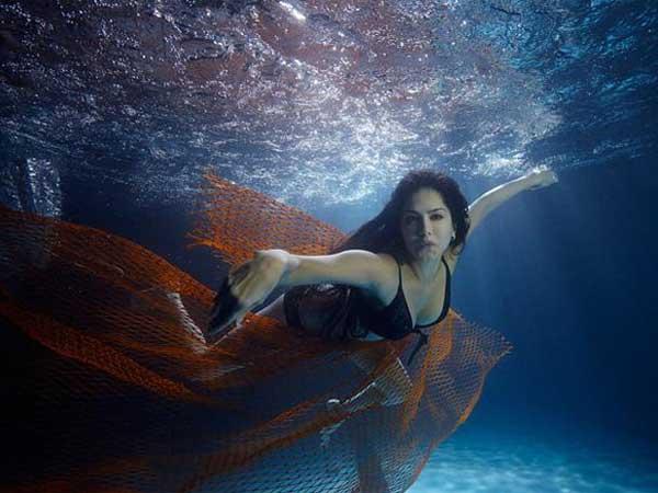 jackpot-sunny jackpot-sunny