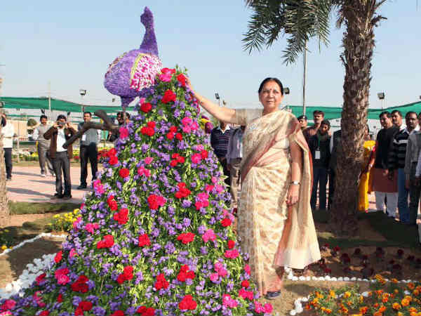 flower-show-1