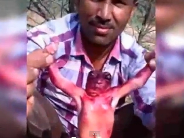 alien rajsthan alien rajsthan