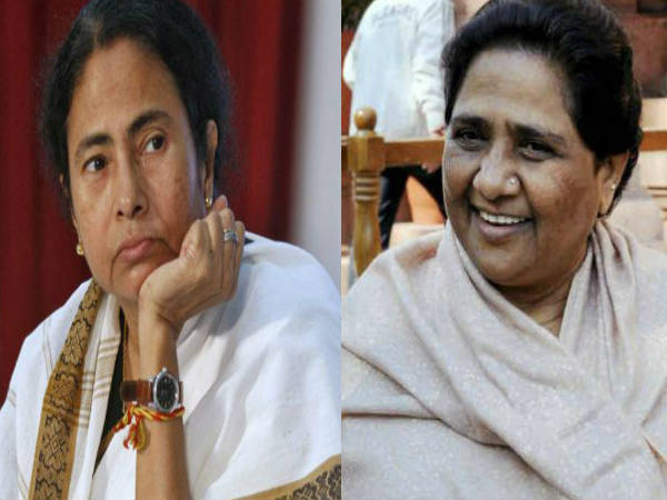 mamta mamta