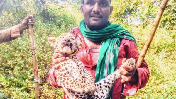 video viral video viral