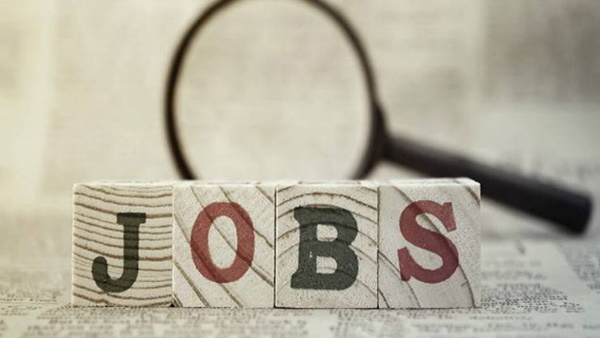 job in gujarat job in gujarat