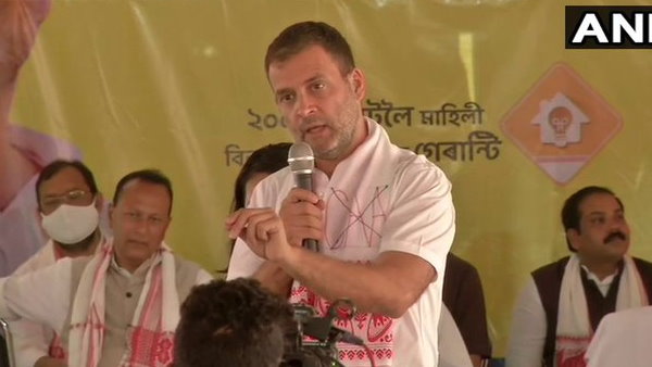 Rahul Gandhi Rahul Gandhi