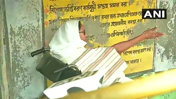 mamta mamta
