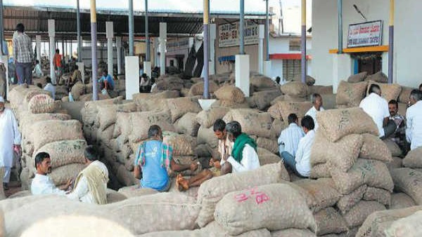 APMC Market yard bhav APMC Market yard bhav