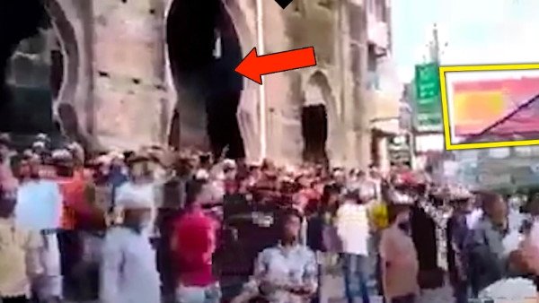 Fact Check Fact Check