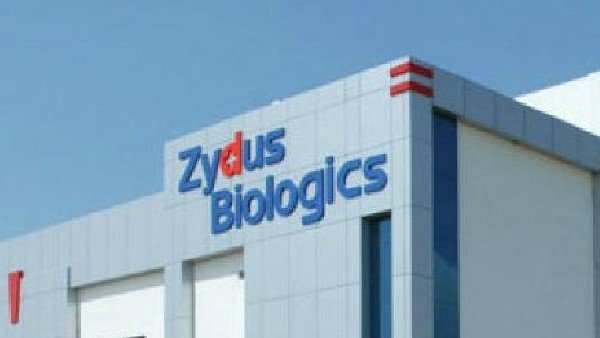 Zydus Cadila Zydus Cadila