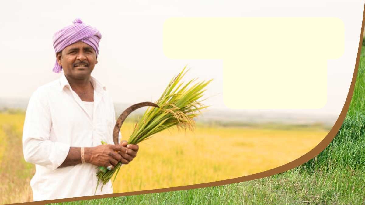 Gujarat Budget Gujarat Budget