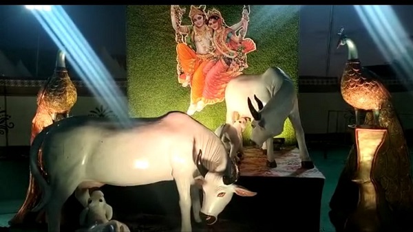 Bhupendra patel Bhupendra patel