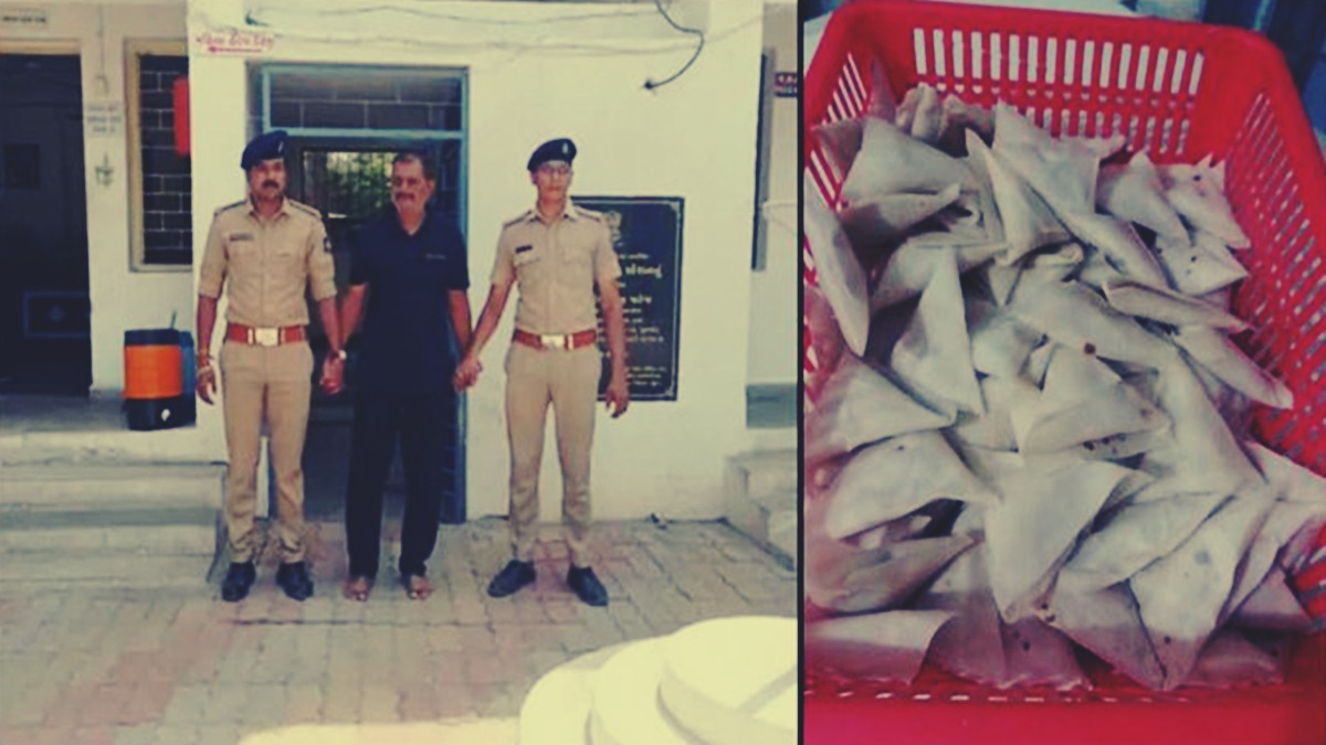 Beef Samosa Beef Samosa