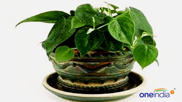 Vastu Tips