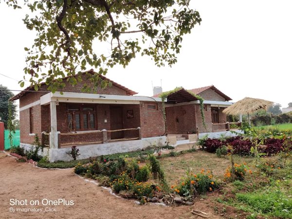 Environment Day Environment Day