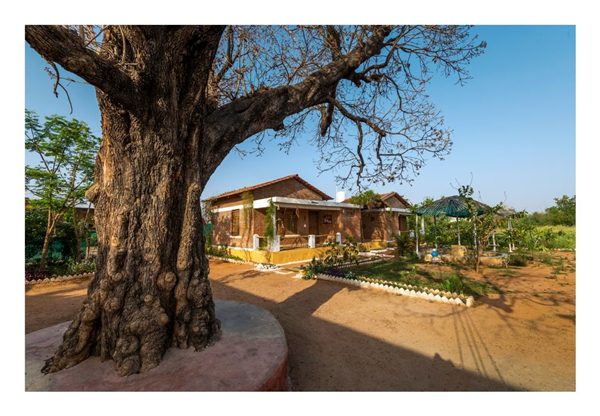 Environment Day Environment Day