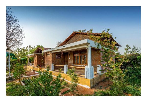 Environment Day Environment Day