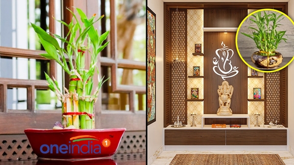 Vastu Shastra News Vastu Shastra News