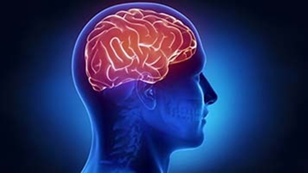 Brain Hemorrhage Causes 