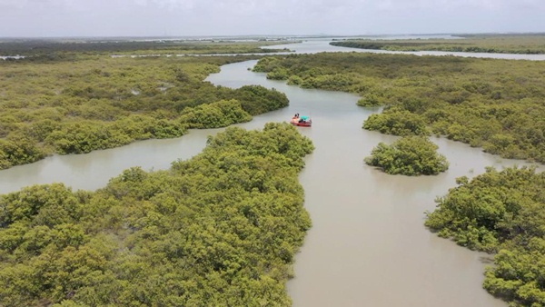 Chair Conservation Da