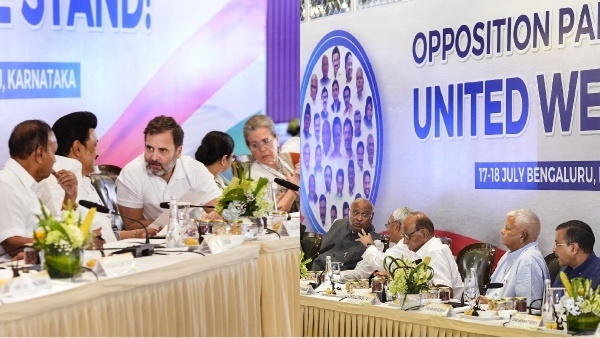 National Developmental Inclusive Alliance