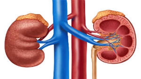 kidney damage