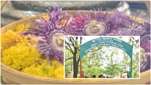 Krishna Kamal Vatika