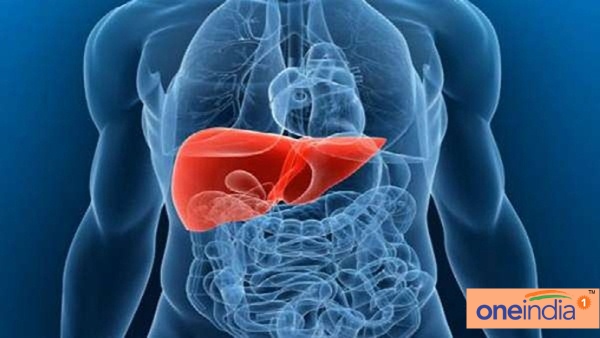 liver 