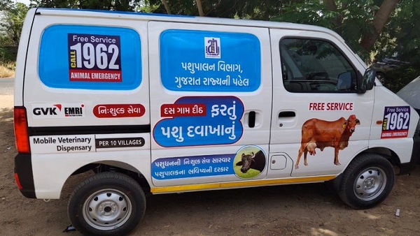 new animal hospitals