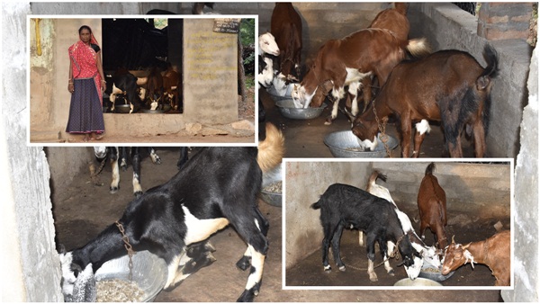 bakra unit bakra unit