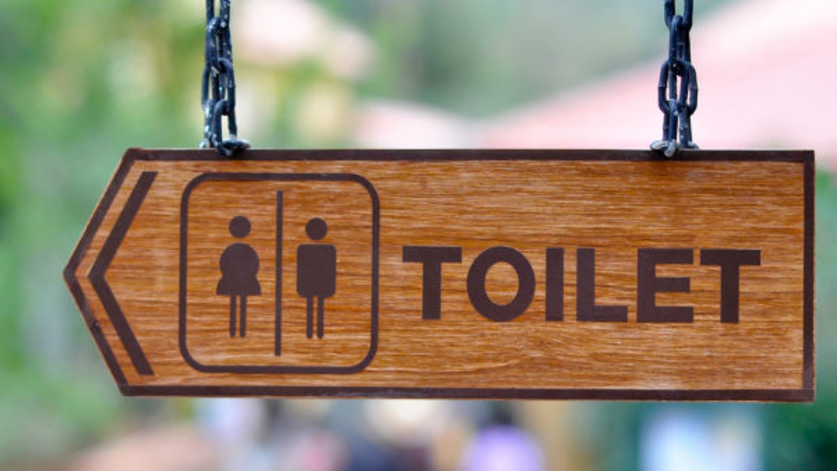 toilet