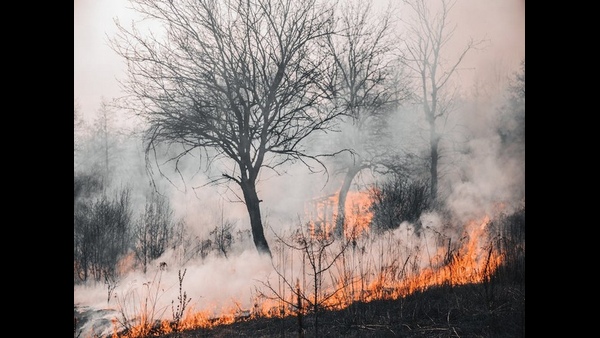 hawai fire hawai fire