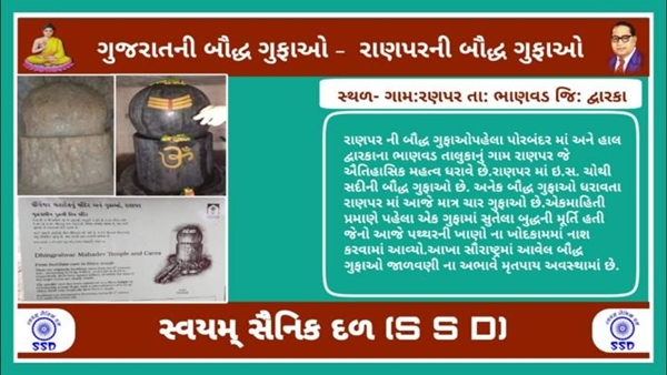 Swayam Sainik Dal Swayam Sainik Dal