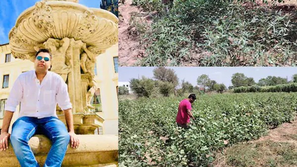 manish sharma c manish sharma c