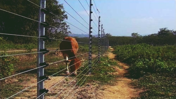 gujarat Farmers gujarat Farmers
