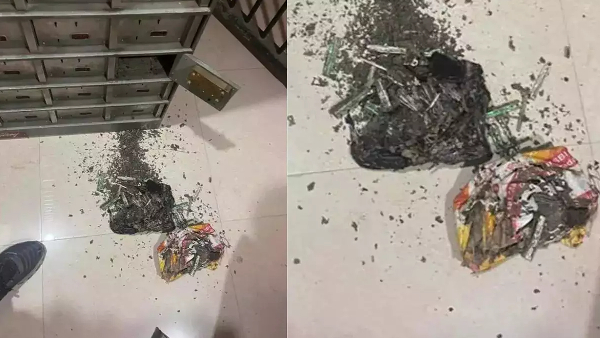 termites ate 18 lakh rupees