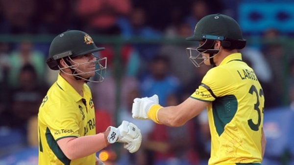 AUS vs NED, World Cup 2023