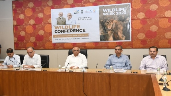 wild life conference