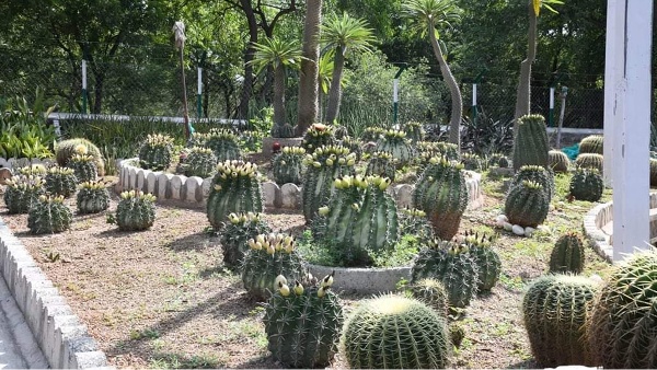 Hingolgarh