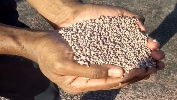 NPK fertilizer 