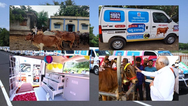 animal health services animal health services