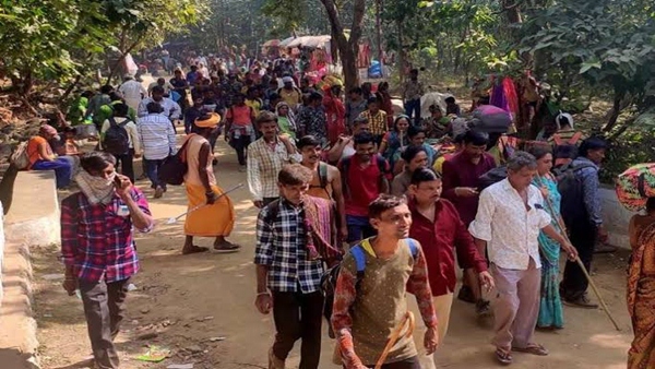 Girnar lili Parikrama